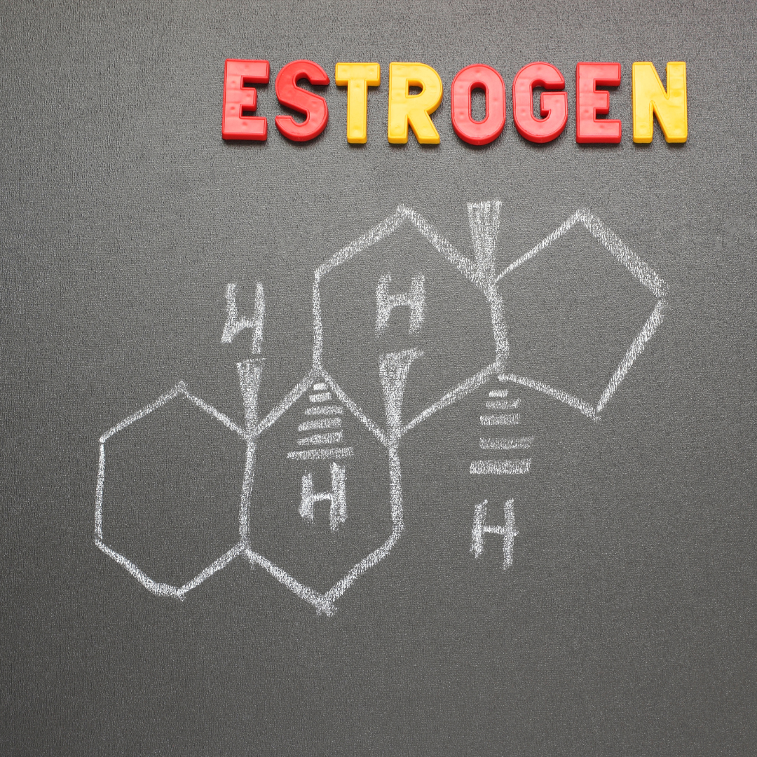 Fungsi-Hormon-Esterogen.png