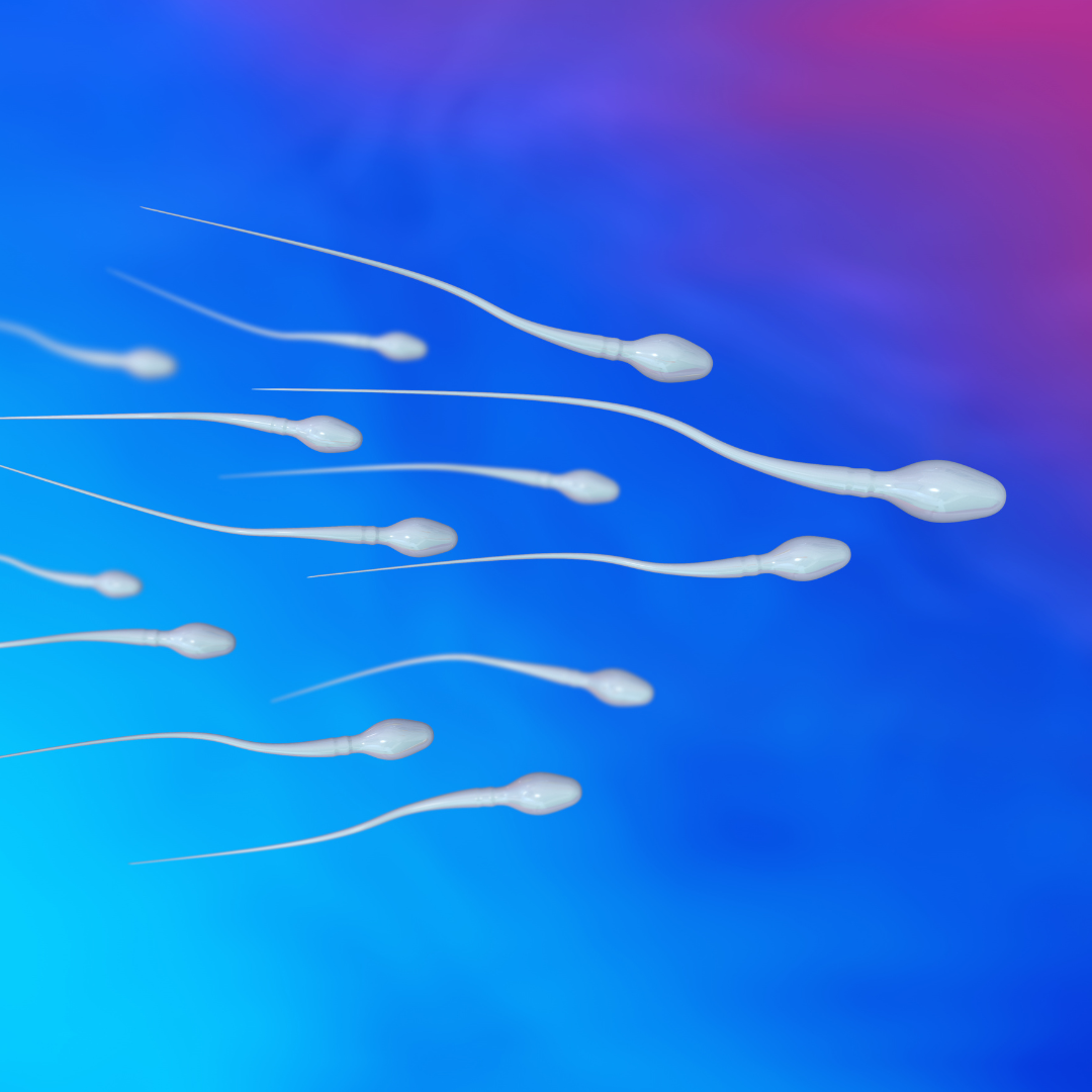sperm.png