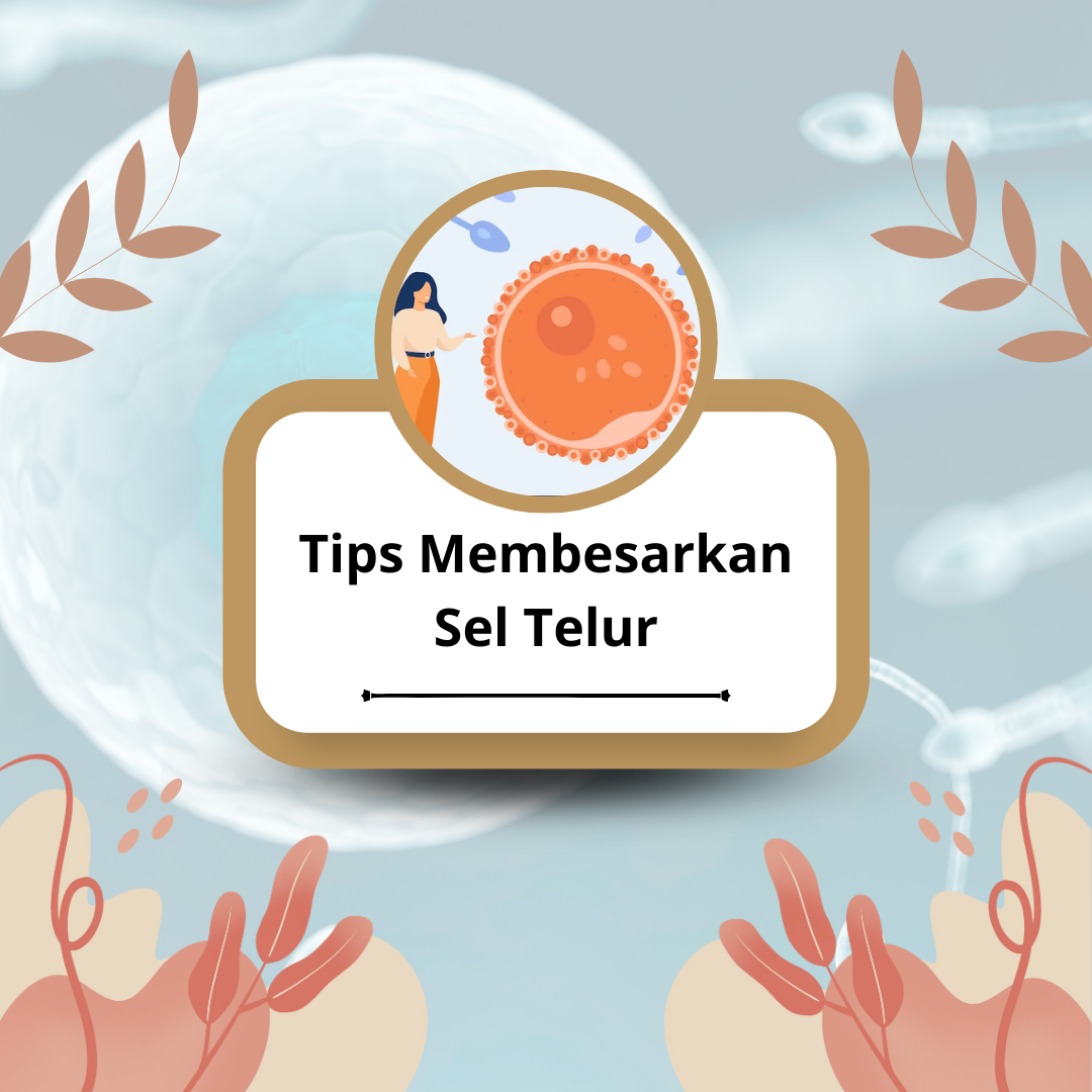 Tips-Membesarkan-Sel-Telur-artikel-thumb.png