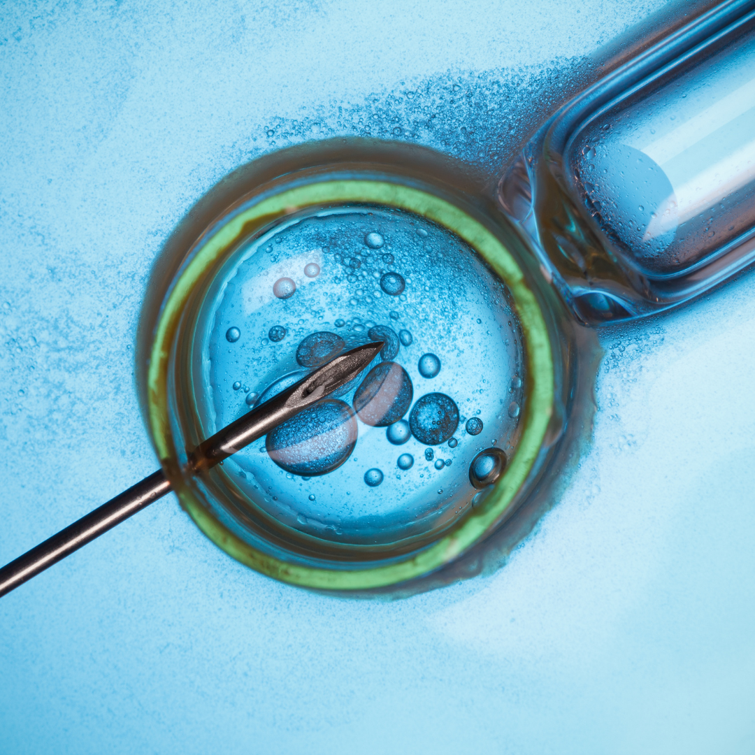 IVF.png