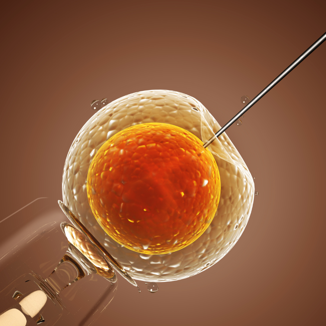 inseminasi-buatan.png