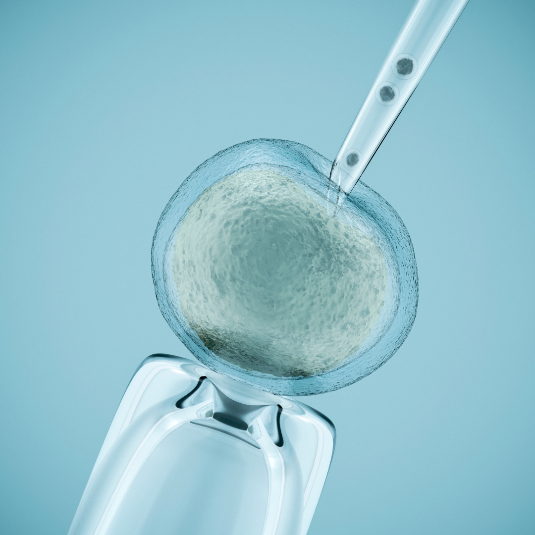 tips-inseminasi-buatan.png