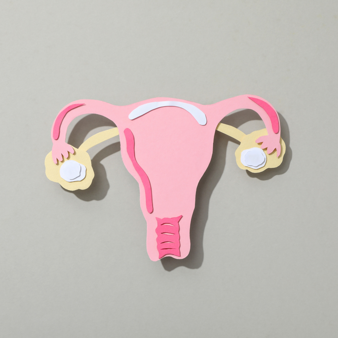 Mengenal-Ovarium-Organ-Kecil-yang-Berperan-Besar-dalam-Kesuburan-Wanita.png