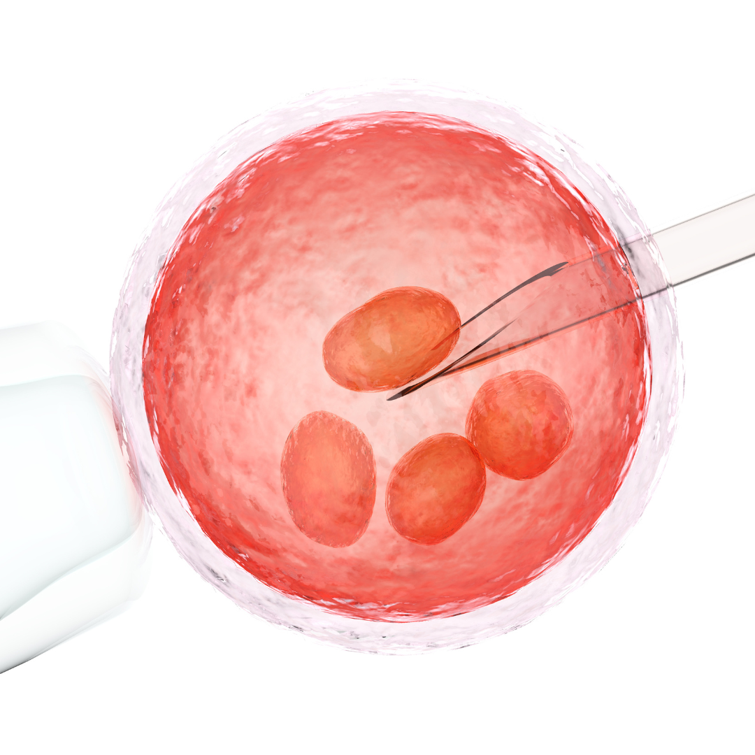 Kenali-Perbedaan-Bayi-Tabung-dan-Inseminasi.png