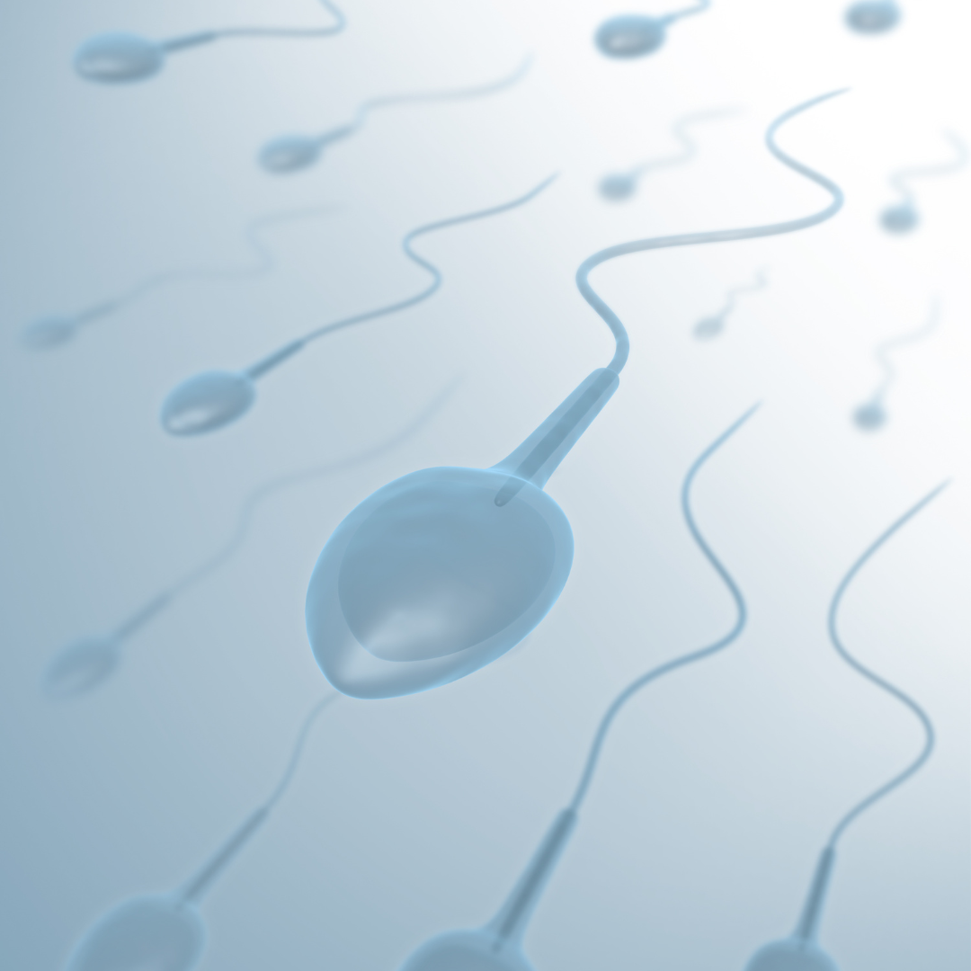 Apa-Itu-Sperm-Washing-Kenapa-Penting-dalam-Program-Hamil.png